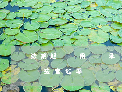 法院起訴費用誰來承擔(法院起訴費用誰來承擔法官公平嗎?)