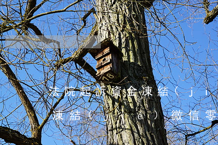 法院起訴資金凍結(jié)會(huì)凍結(jié)微信零錢(qián)-法院起訴凍結(jié)賬戶包括微信零錢(qián)能凍結(jié)嗎