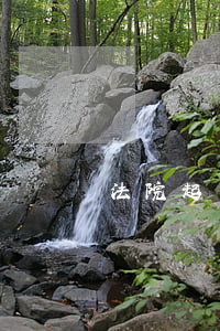 法院起訴身份證可以用嗎6(起訴需要身份證)