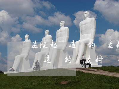 法院起訴通緝的話支付寶有記錄嗎-法院起訴通緝的話支付寶有記錄嗎怎么查