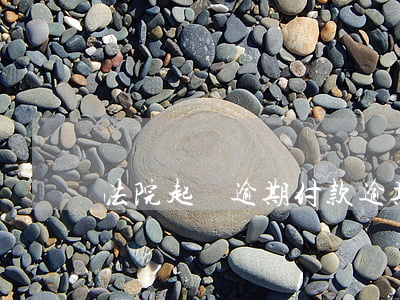 法院起訴逾期付款 逾期了法院起訴