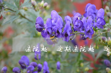 法院起訴逾期(法院起訴逾期支付利息)
