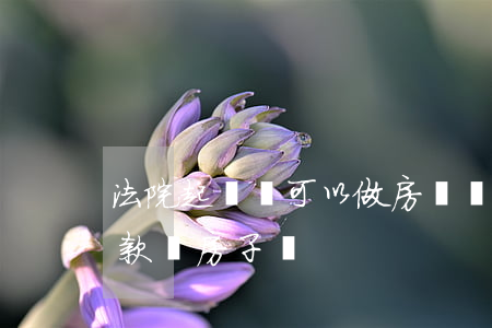 法院起訴還可以做房貸嗎(被法院起訴還能貸款買房子嗎)
