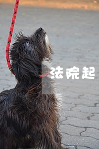 法院起訴還可以坐高鐵嗎(被起訴了能坐高鐵嗎)