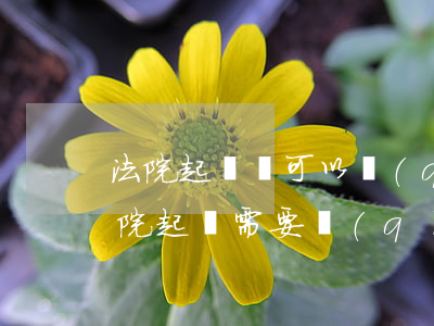 法院起訴還可以請(qǐng)律師嗎(向法院起訴需要請(qǐng)律師嗎?)