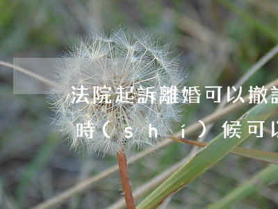 法院起訴離婚可以撤訴嗎(離婚訴訟撤訴了啥時(shí)候可以再起訴)