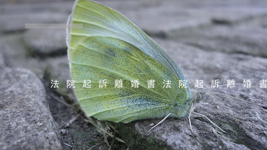 法院起訴離婚書(法院起訴離婚書圖片)