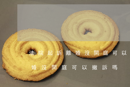 法院起訴離婚沒開庭可以撤訴嗎(法院起訴離婚沒開庭可以撤訴嗎)