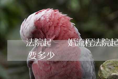 法院起訴離婚流程(法院起訴離婚流程和費用要多少錢)
