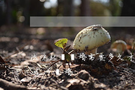 法院起訴離婚需要多久才能離(起訴離婚,多久可以離婚)
