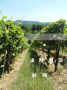 法院起訴黑戶可以貸款嗎(給黑戶貸款是違法的嗎)