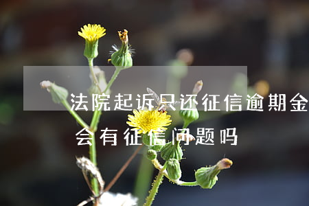 法院起诉只还征信逾期金额吗(法院罚金逾期会有征信问题吗)