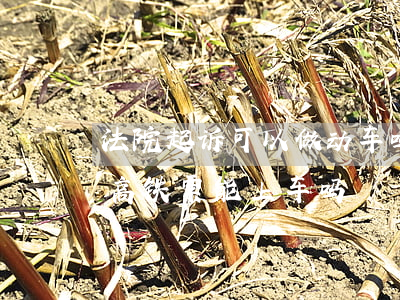法院起诉可以做动车吗(法院起诉可以购买了高铁票能上车吗)