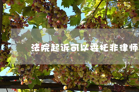 法院起诉可以委托非律师吗