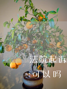 法院起诉开庭不参加可以吗(被起诉 开庭不去可以吗)