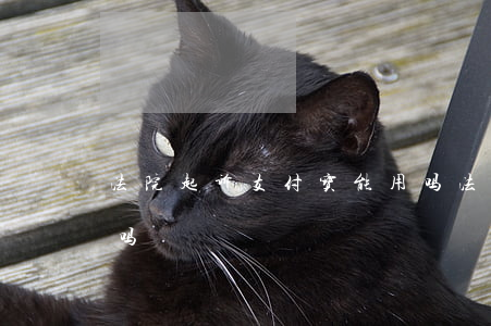 法院起诉支付宝能用吗(法院起诉支付宝能用吗)