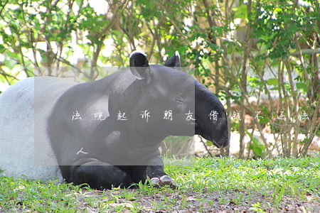 法院起诉朋友借钱不还(法院起诉借钱不还的人)