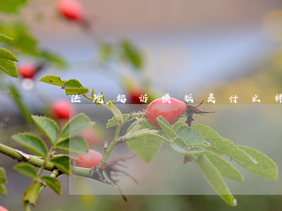 法院起诉模板是什么样(诉讼起诉状模板)