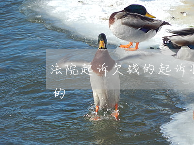 法院起诉欠钱的起诉状怎么写（法院起诉欠钱的）