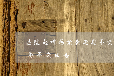法院起诉物业费逾期不交会怎么样（物业费逾期不交被告）