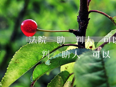 法院輔助審判人員可以考公務(wù)員嗎(審判輔助人員可以轉(zhuǎn)為法官嗎)