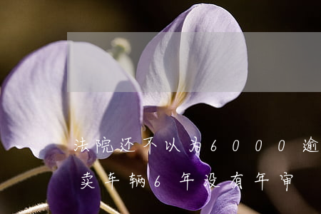 法院还不以为6000逾期拍卖车子(法院拍卖车辆6年没有年审)
