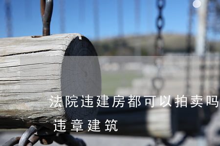 法院违建房都可以拍卖吗(司法拍卖的房子有违章建筑)