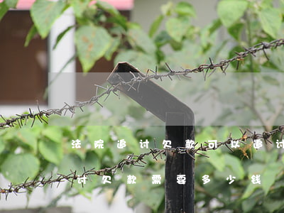 法院追讨欠款可以追讨利息吗(到法院起诉追讨欠款需要多少钱)