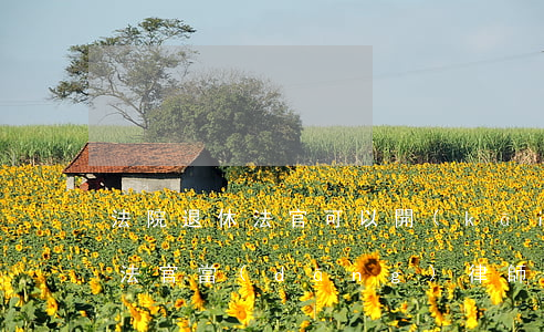 法院退休法官可以開(kāi)律師嗎(退休法官當(dāng)律師有什么禁止性規(guī)定)