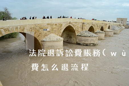法院退訴訟費賬務(wù)處理怎么做(訴訟費怎么退 流程)