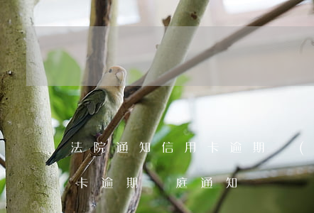 法院通知信用卡逾期調(diào)解(信用卡逾期開庭通知)