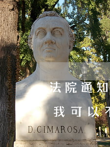 法院通知協(xié)助調(diào)查我可以不去嗎