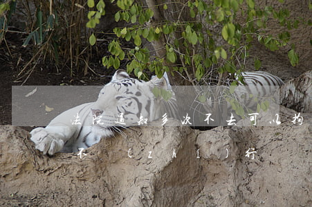 法院通知多次不去可以拘留嗎(拘留五天可以不執(zhí)行嗎)