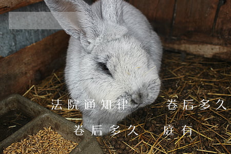 法院通知律師閱卷后多久開庭(法院通知律師閱卷后多久開庭有這個程序嗎)
