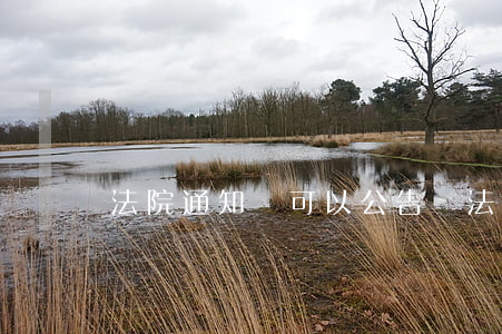 法院通知書可以公告嗎(法院的通知書能不收嗎)