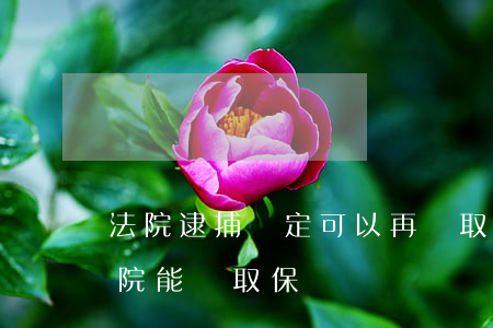 法院逮捕決定可以再辦取保嗎(逮捕之后檢察院能辦取保)