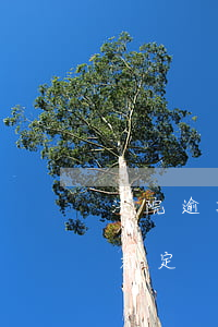 法院逾期不作出裁定 拒不履行法院生效判決裁定