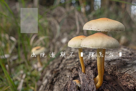 法院逾期不審理怎么辦