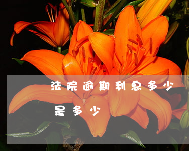 法院逾期利息多少(訴訟中逾期利息最高可以是多少)