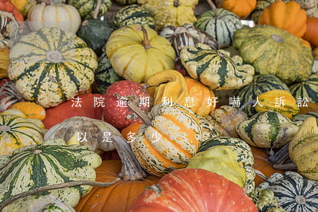 法院逾期利息好嚇人(訴訟中逾期利息最高可以是多少)