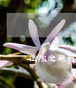 法院逾期利息(法院逾期利息是一分幾)