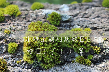法院逾期利息的計(jì)算(法院逾期利息的計(jì)算)