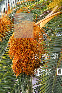 法院逾期利息計算標準-計算逾期利息的法律依據(jù)