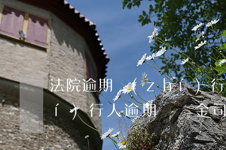 法院逾期執(zhí)行滯納金(被執(zhí)行人逾期滯納金司法解釋)