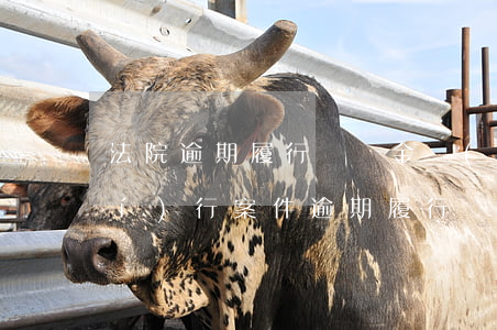 法院逾期履行滯納金計(jì)算(執(zhí)行案件逾期履行滯納金怎么計(jì)算)