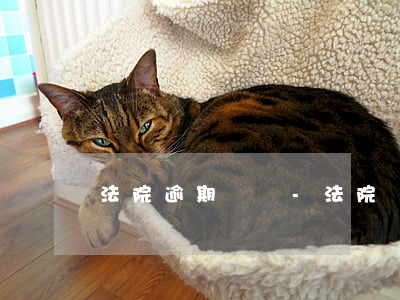 法院逾期懲罰-法院懲罰性罰款