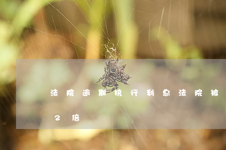 法院逾期执行利息(法院被执行逾期利息是否2倍)