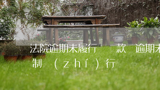 法院逾期未履行會罰款嗎 逾期未繳納罰款 強制執(zhí)行