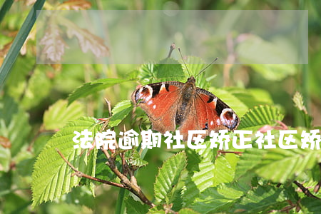 法院逾期社区矫正 社区矫正超期怎么办
