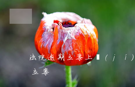 法院逾期立案上級(jí)法院立案(法院已立案)